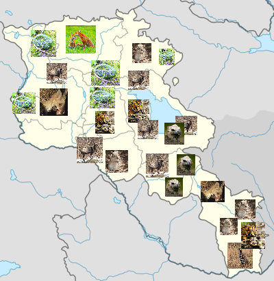 400px-Location_map_of_Armenia_with_Artsakh_in_dark_grey - Copy - Copy - Copy.png